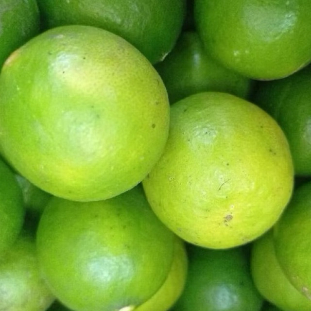 

1 KG JERUK NIPIS SEGAR.