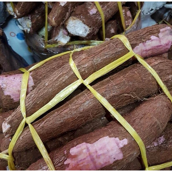 

FRESH 1 Kg Singkong Ketela Keju Mentah | Singkong Ketan Fresh baru panen