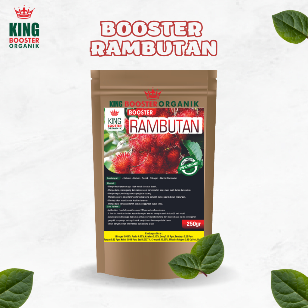 pupuk rambutan agar cepat berbuah booster organik rambutan ampuh agar berbuah lebat rambutan kelengk