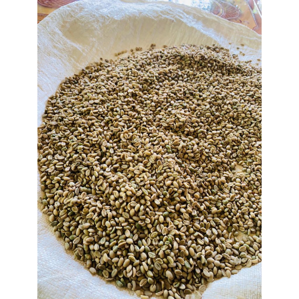 

Kopi nangka 1Kg Green Bean Exselsa/Liberika Argopuro Wangi