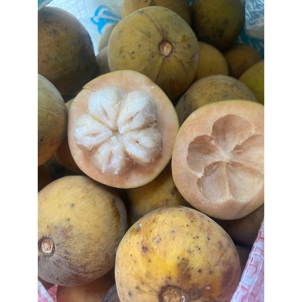 

READY boh seutui /sentul /kecapi LANGSUNG CO YA ISI SEKILO