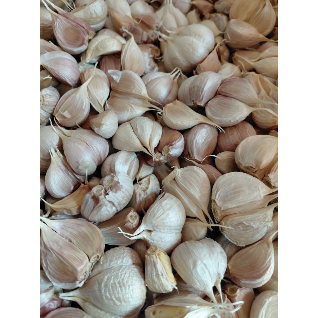 

Bawang putih kating bersih 250gram