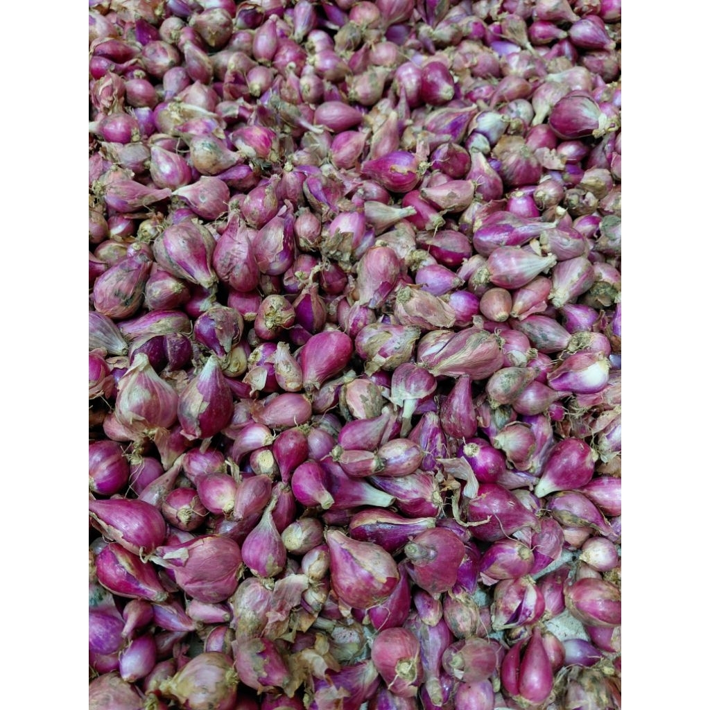 

Bawang Merah Berat 100gram