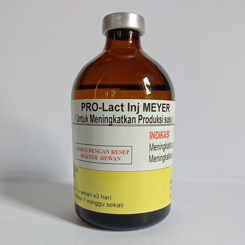 Obat Injeksi untuk Meningkatkan Produksi Susu pada Hewan Ternak