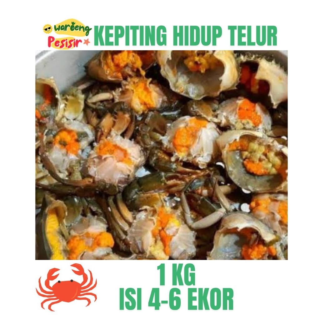 

KEPITING TELUR SCAM HIDUP – DIJUAL PER KILOGRAM (ISI 4–5 EKOR/KG)