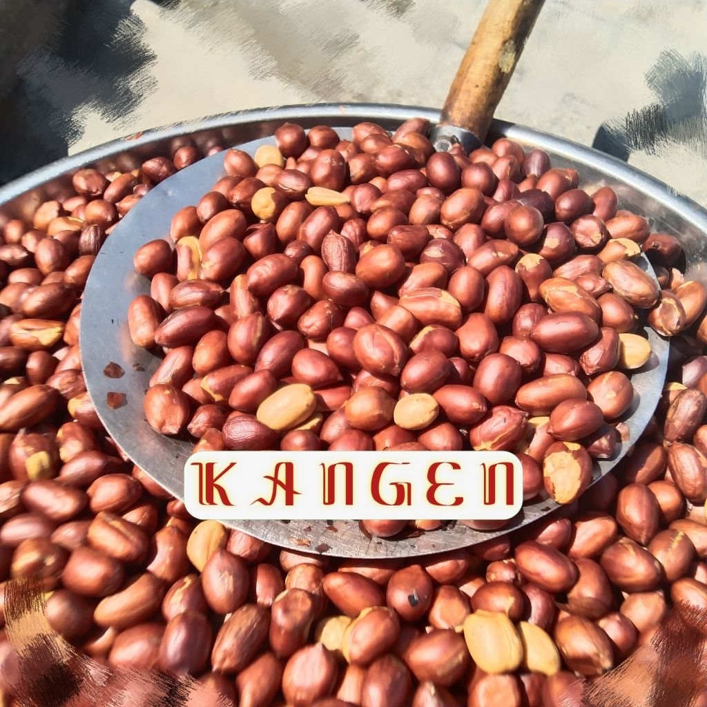 

Kacang Tanah Matang Sangrai Tanpa campuran