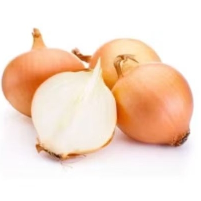 

BAWANG BOMBAY 1KG MURAH