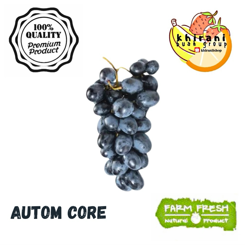 

AUTOM CORE 500GRM MANIS