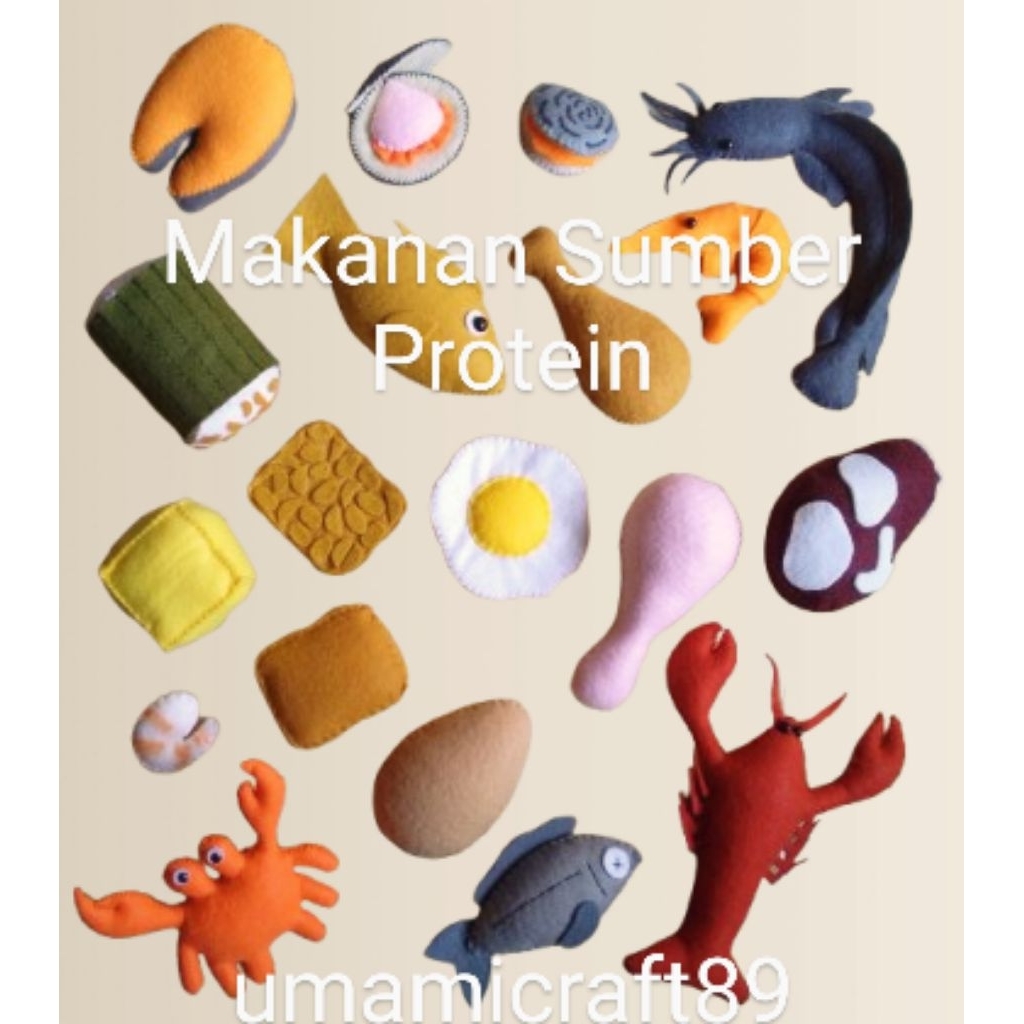 Felt Protein / Replika Protein Set Lengkap isi 19 pcs versi Matang dan Mentah / Mainan Edukasi Menge