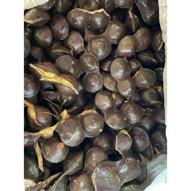 

Jengkol Muda Belum Dikupas, Super, Pilihan, Dari Perani Langsung