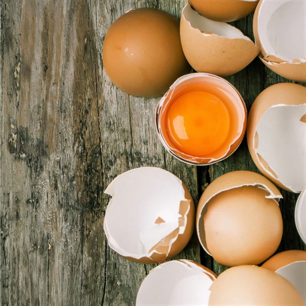 

TELUR OMEGA 3 JUMBO PERBUTIR PALING MURAH SURABAYA GRATIS TRAY INCLUDE PENGIRIMAN AMAN