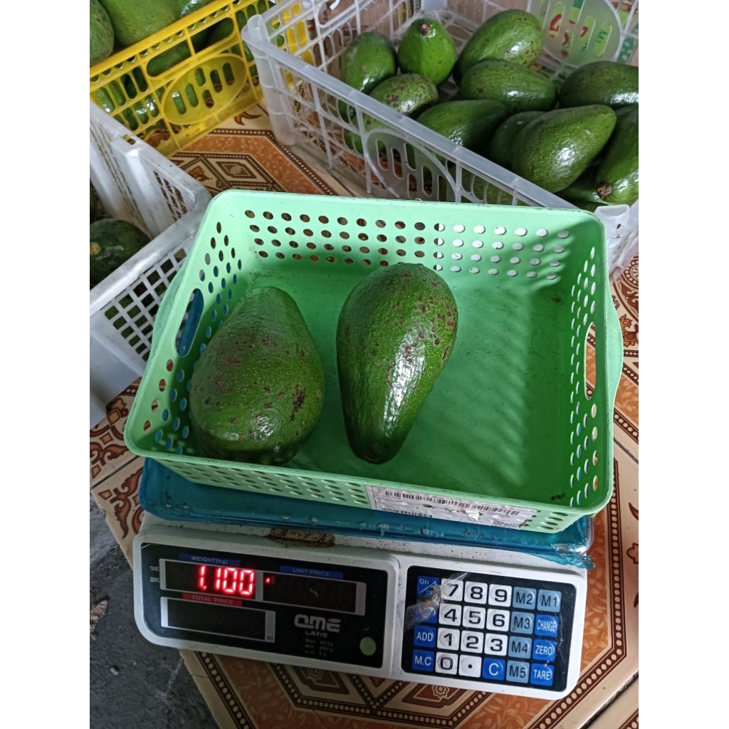 

Alpukat mentega jumbo (1KG isi 2Buah) kualitassupermarket!!!