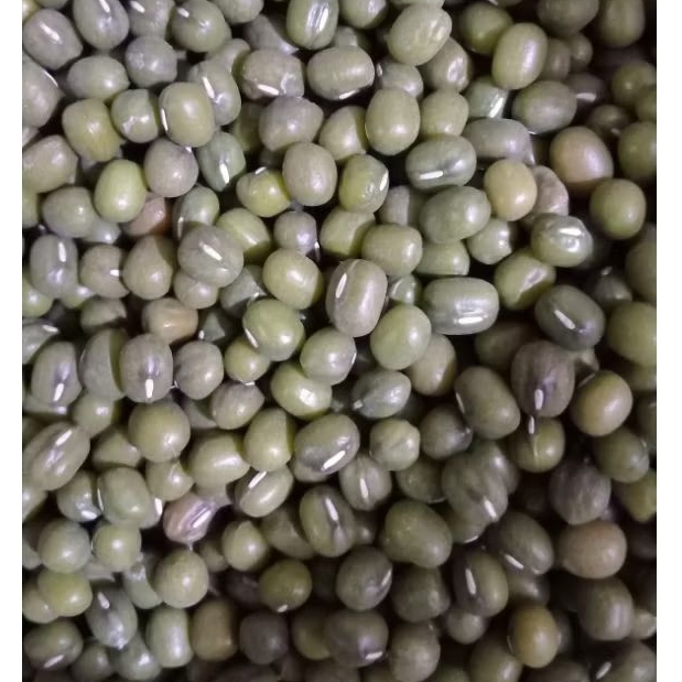 

KACANG HIJAU