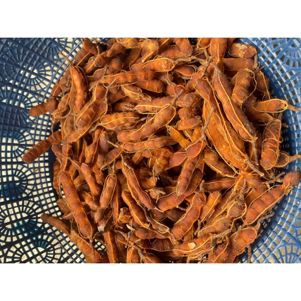 

Asam Jawa Matang Kering Fresh