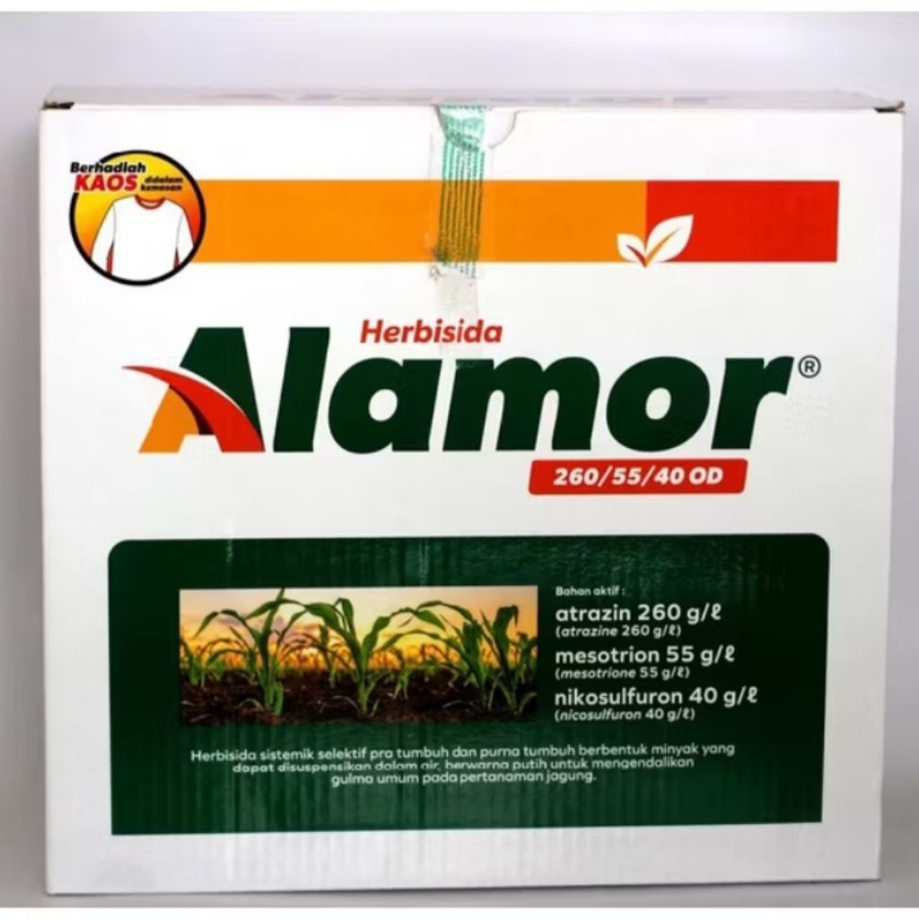 Alamor 260/55/40 OD herbisida rumput ditanaman jagung