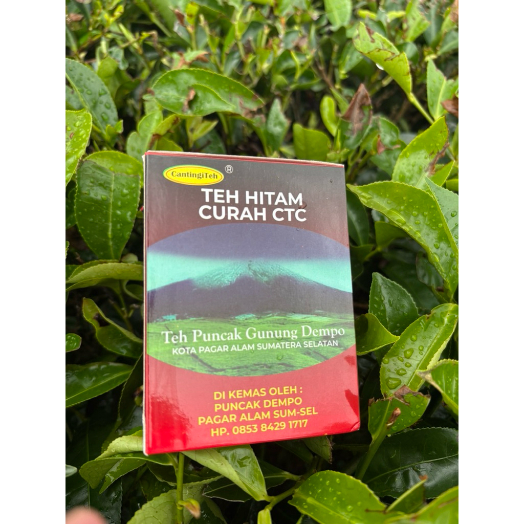 

teh CTC khas pagar alam