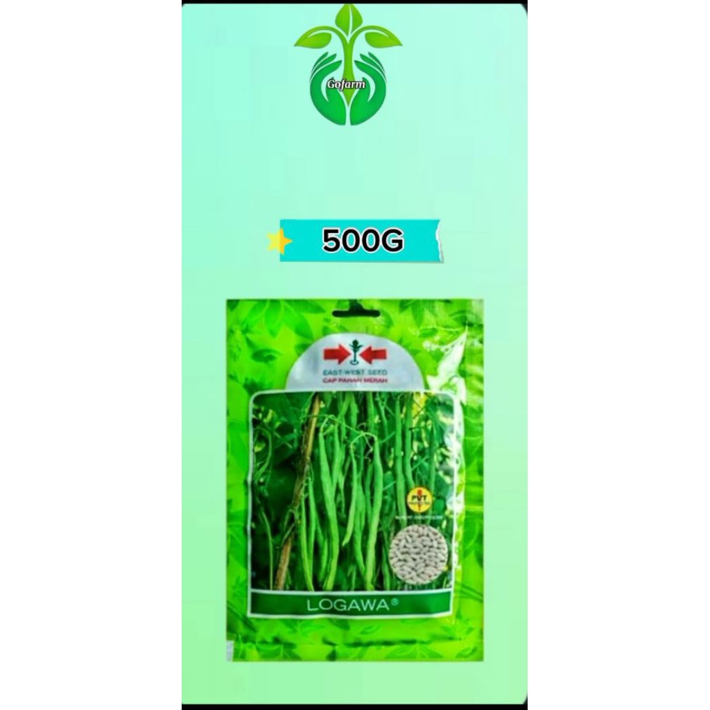 

✨Bibit Buncis Logawa Isi 500G (Repack/kemasan sendiri) ✨