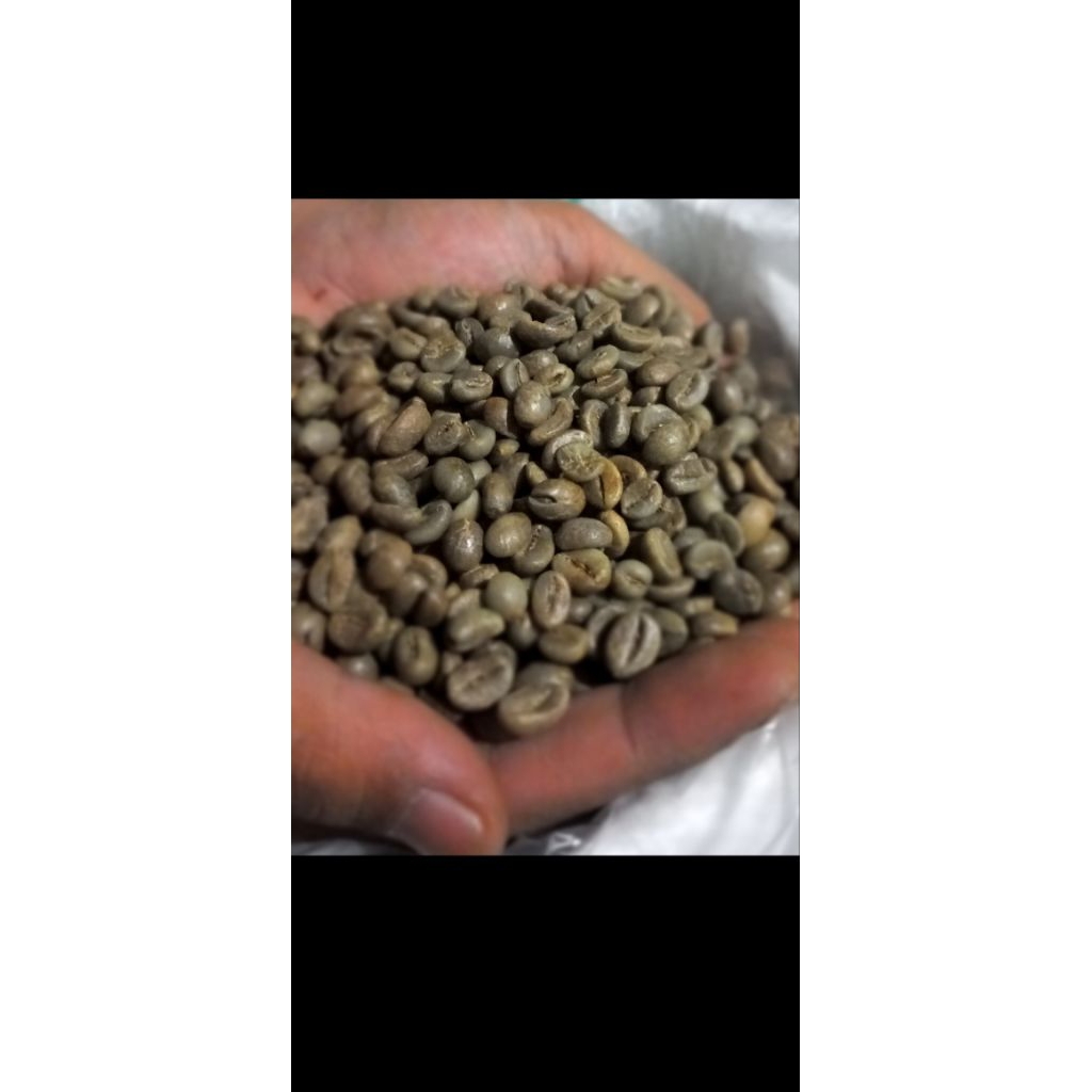 

Grosir Green Bean Kopi Robusta Temanggung 5KG GRADE 2 Premium Biji Kopi