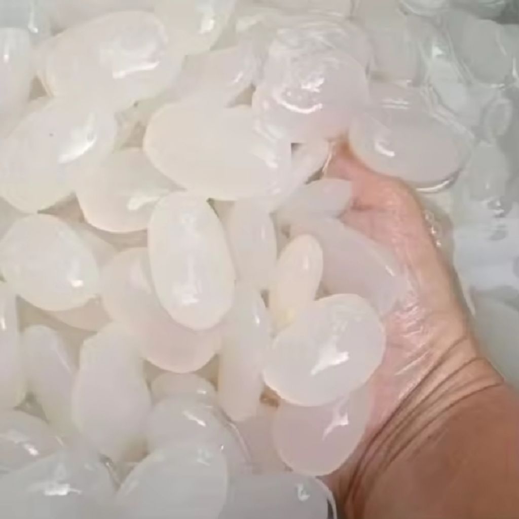 

kolang kaling segar/1kg