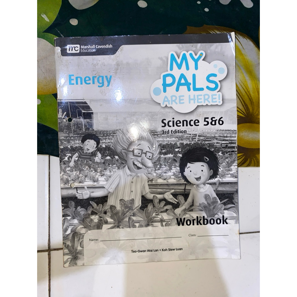 MY PALS ARE HERE SCIENCE 5&6 ENERGY WORKBOOK SECOND