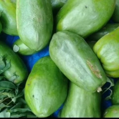 

pepaya sayur ( muda) 1kg