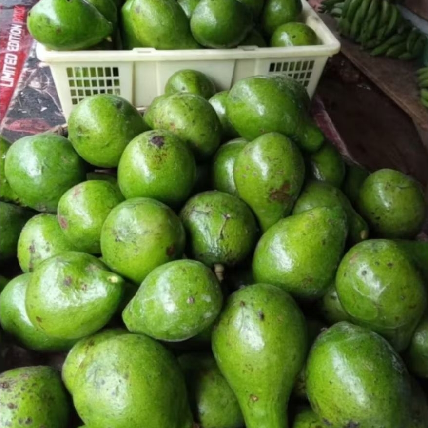 

ALPUKAT SEGAR 500GR [MINIMAL ORDER 1KG]