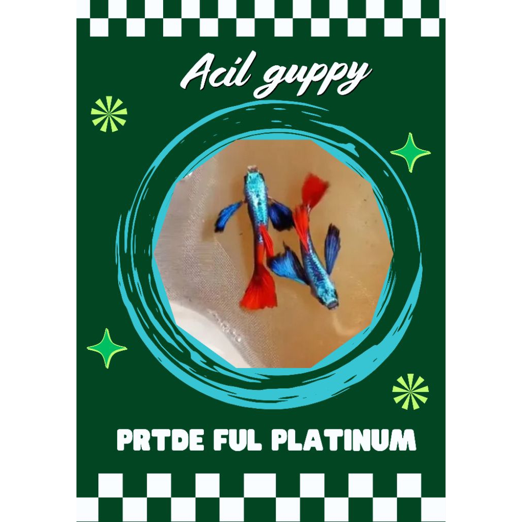 

Stiker prtde premium full platinum