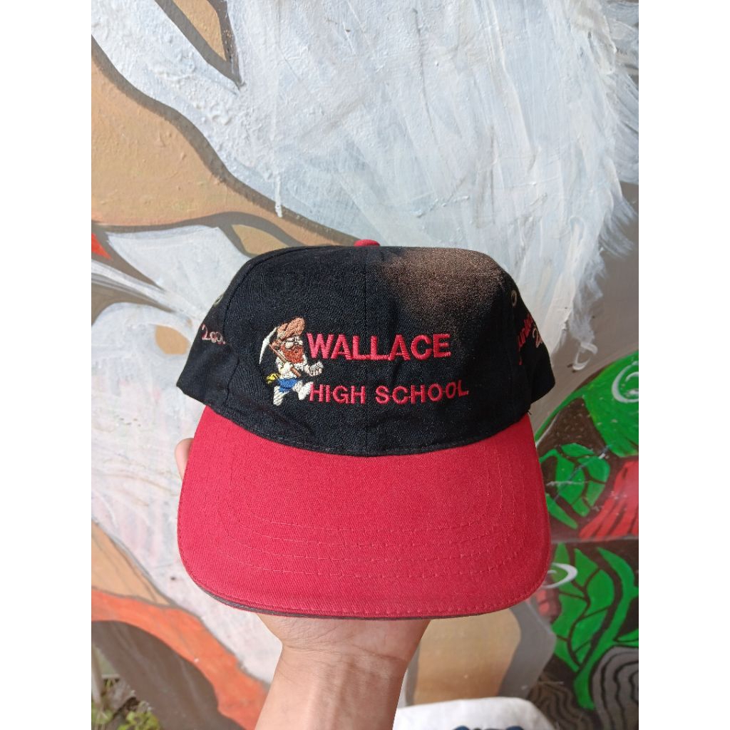 Topi Two Tone Wallace