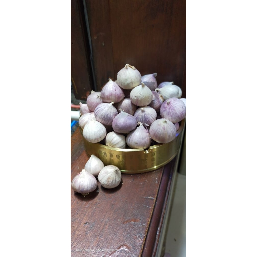 

bawang Lanang [ bawang tunggal] garlic