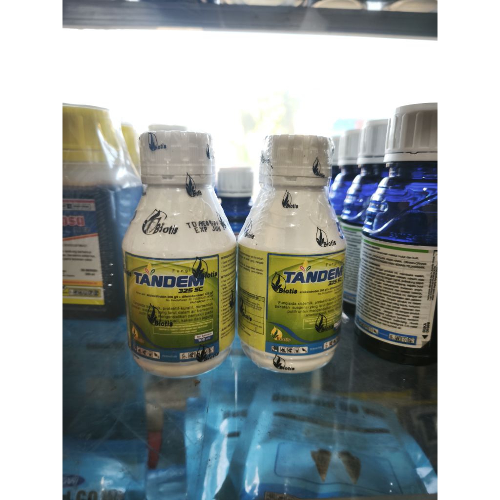 FUNGISIDA TANDEM  32 SC BAHAN AKTIF AZOKSISTROBIN DAN DIFEKONAZOL