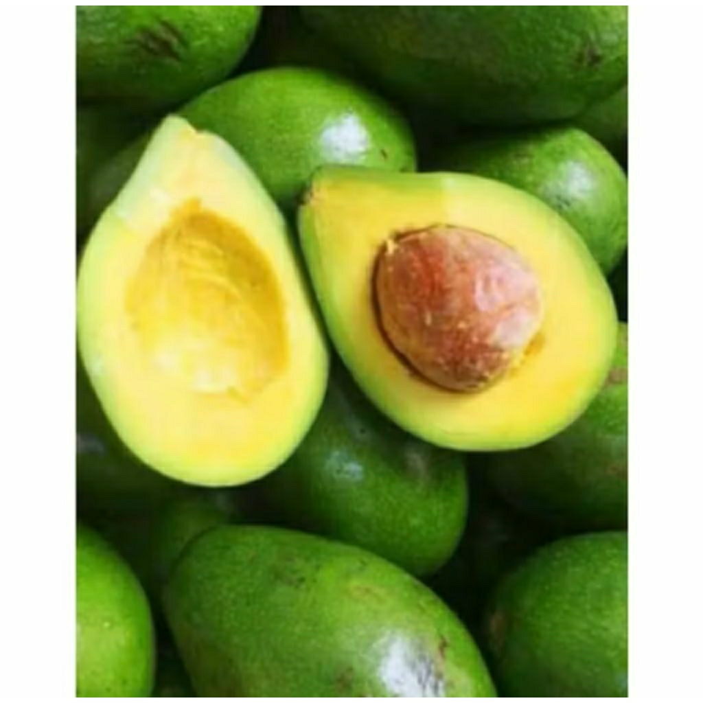 

Alpukat mentega ukuran sedang isi 4-5biji/kg