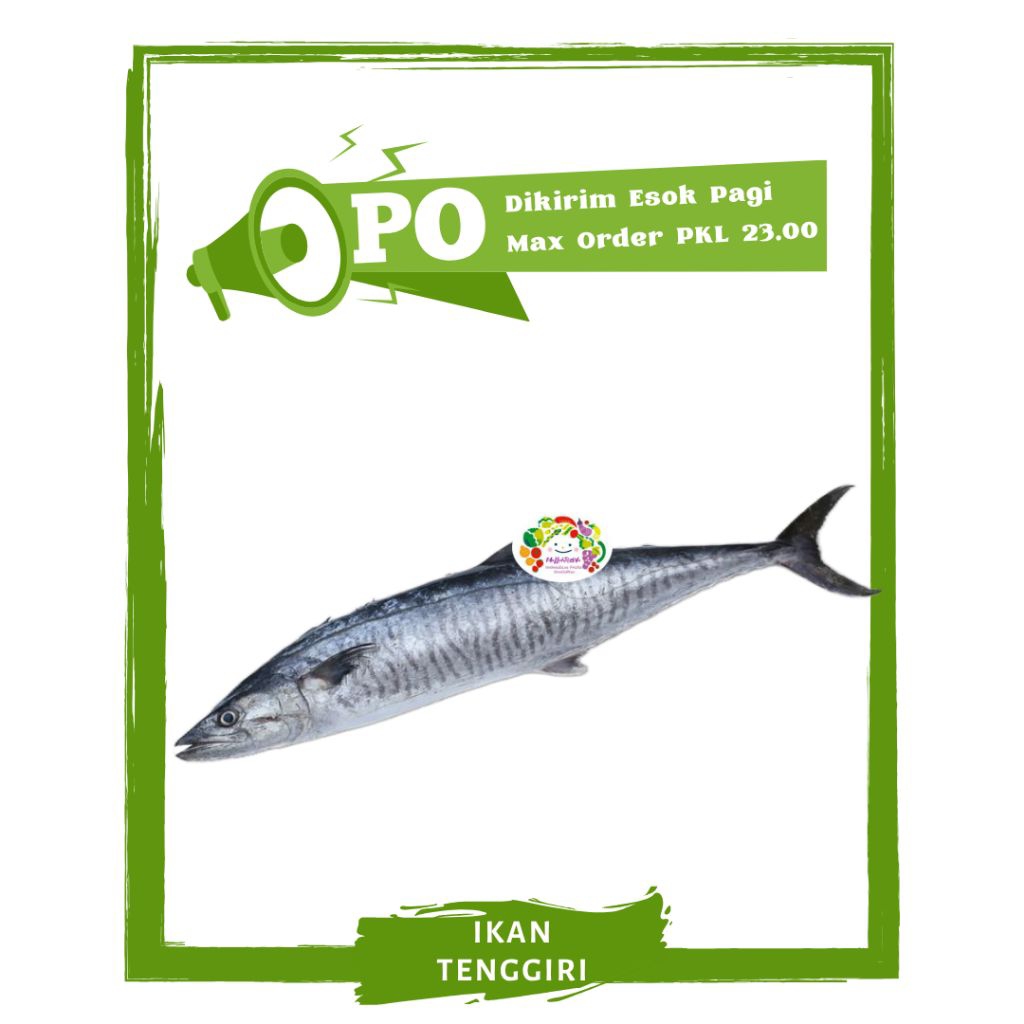 

Ikan Tenggiri / Tengiri / Ikan Segar PO Mallahrizwa