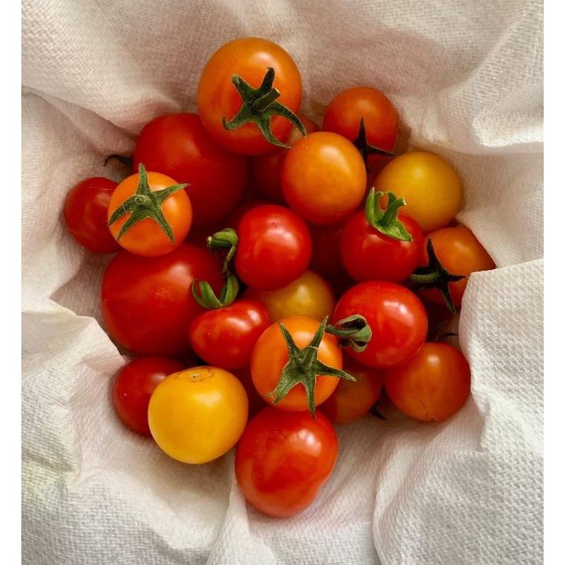 

Tomat Cherry Segar 250gr | Sayur Freshmart Bandung