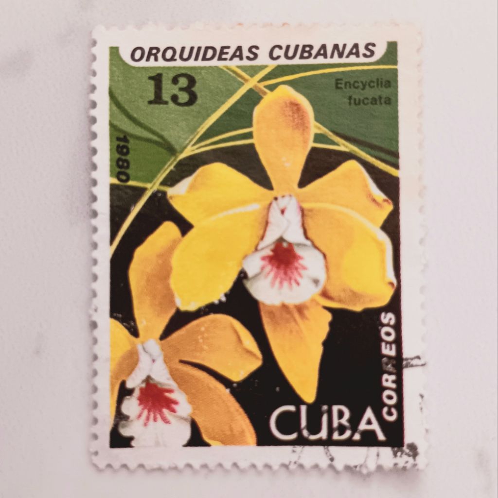 

(AA) Perangko Kuba 1980 Orchids - 1980 - Encyclia fucata 13 centavo CTO