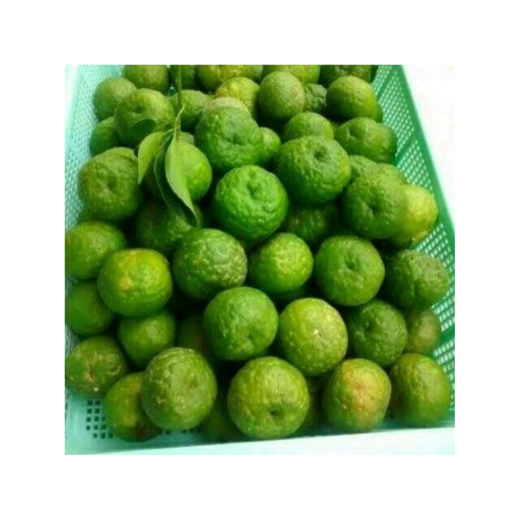 

Jeruk sambal jeruk limau jeruk purut 200g