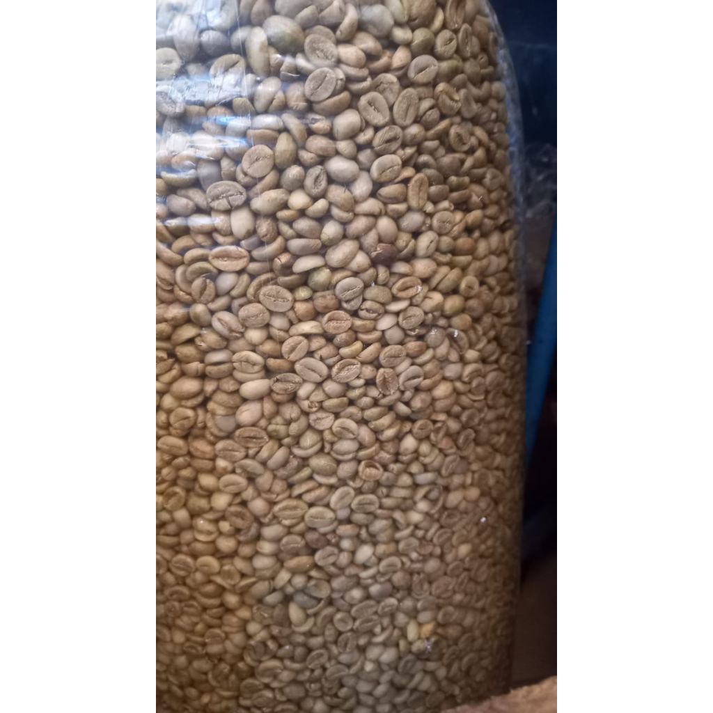 

Green bean Murah ramah di kantong