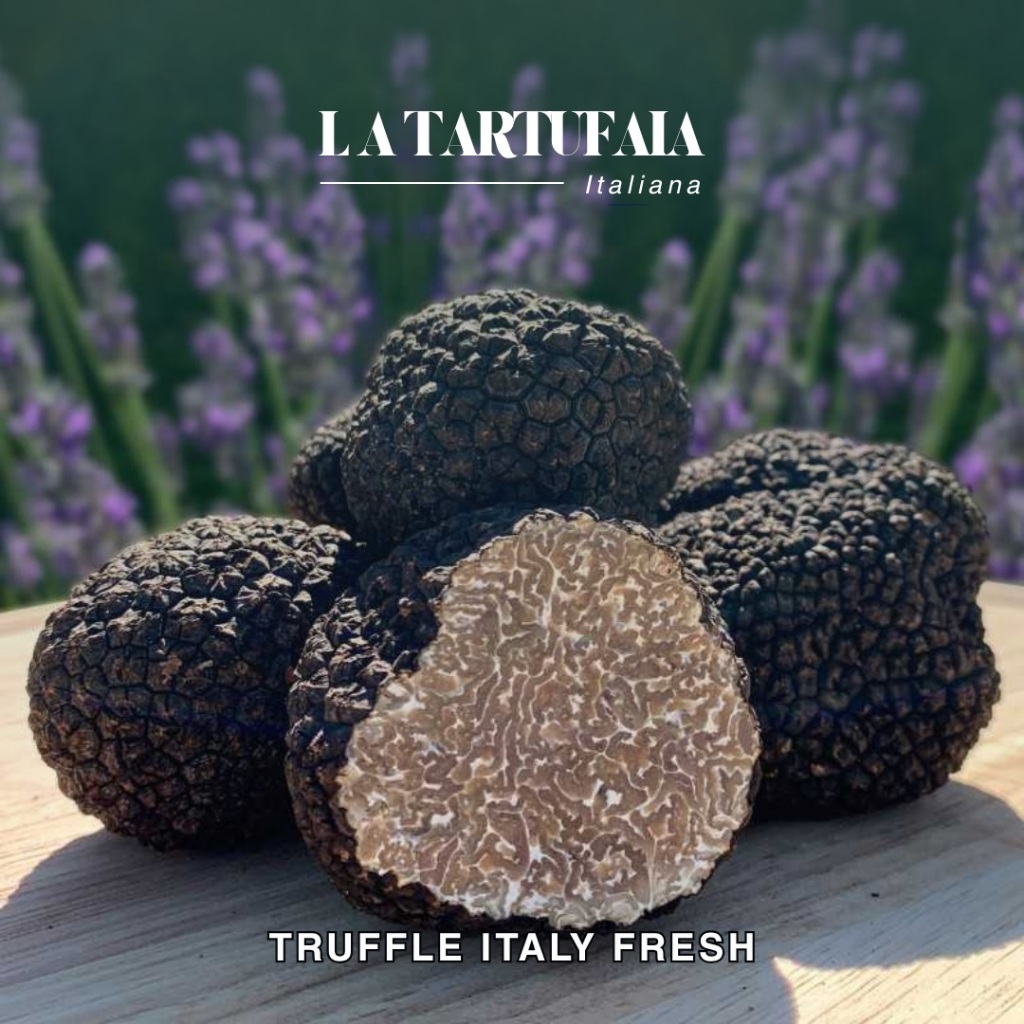 

TRUFFLE ITALY (TUBER AESTIVUM) - 100% FRESH