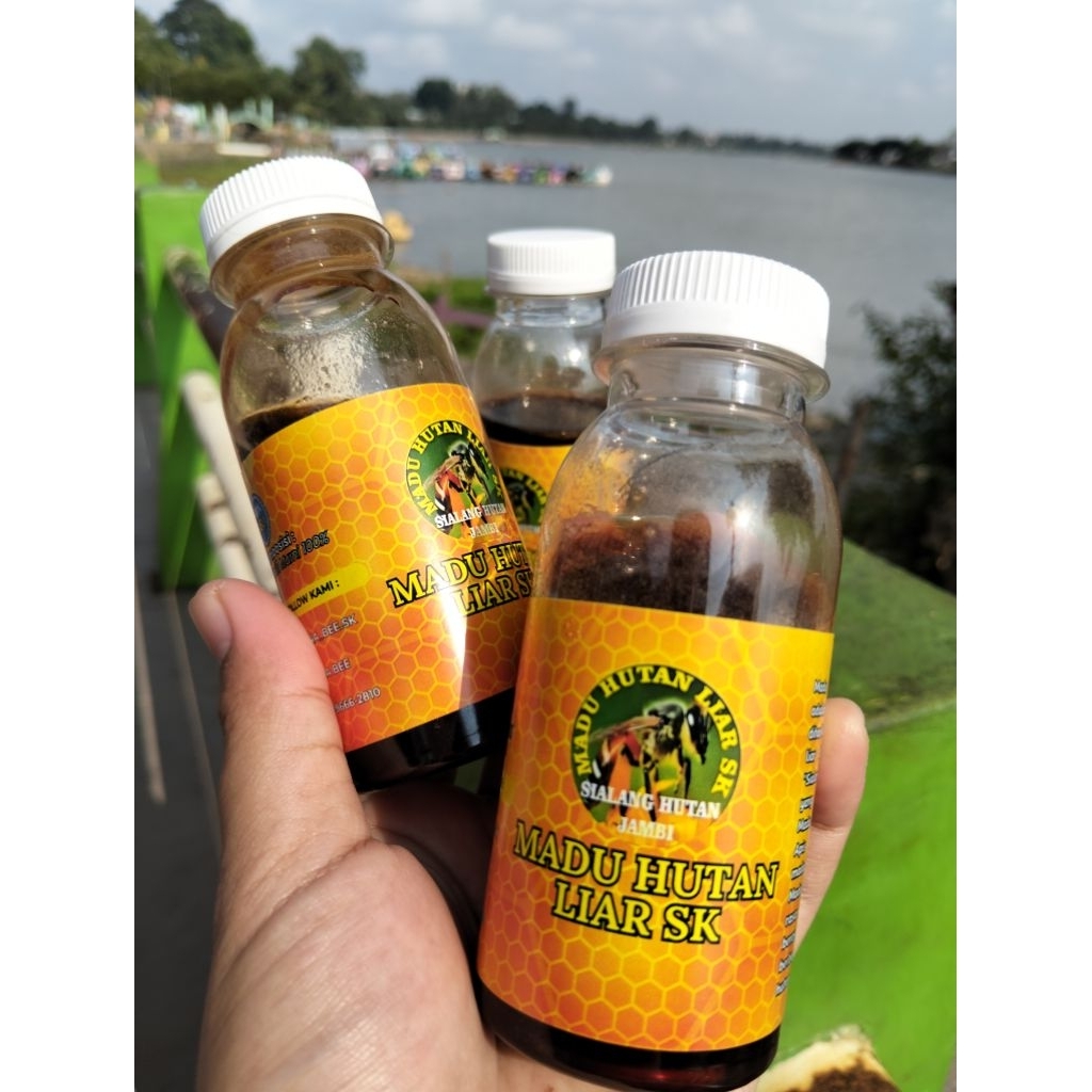 

madu hutan liar SK