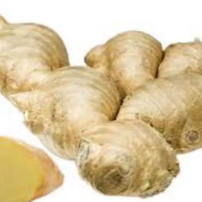 

lampuyeng obat herbal 1kg