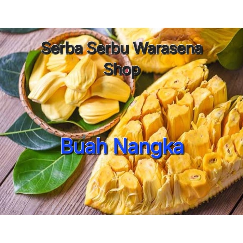 

Jual buah nangka lokal manis lezat berkwalitas terbaik