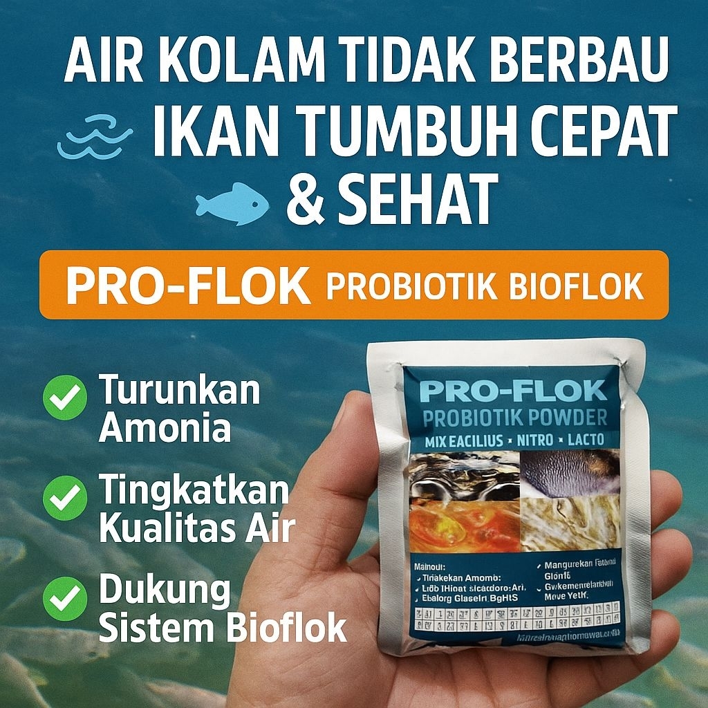 Proflok Probiotik Ikan Bioflok | Atasi Amoniak, Air Tidak Bau, Ikan Tumbuh Sehat