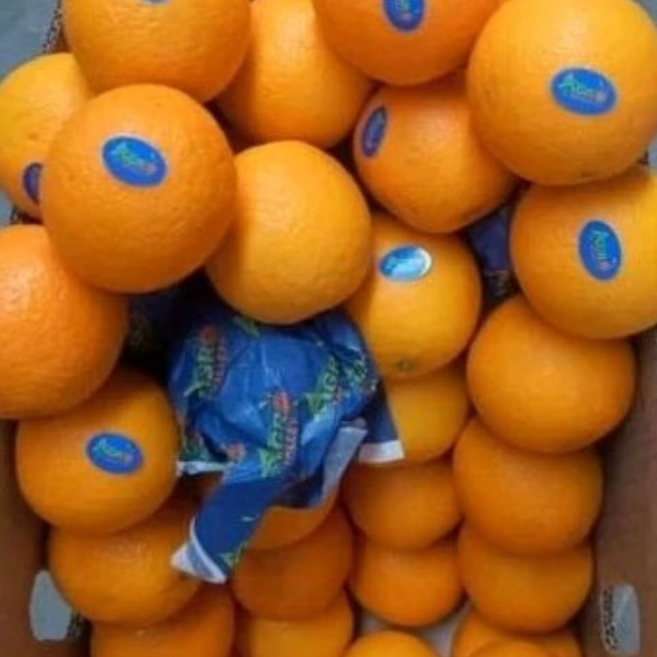 

Buah JERUK SUNKIST NAVELsekilo