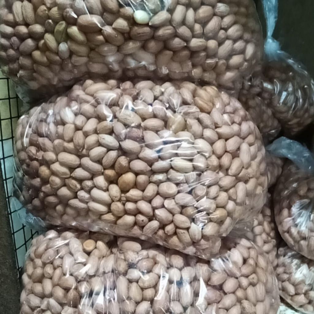 

Kacang Tanah Kupas Pilihan – Segar, Bersih, dan Siap Olah