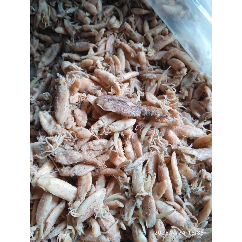 

Baby cumi kecil sisa sortiran teri nasi 1kg