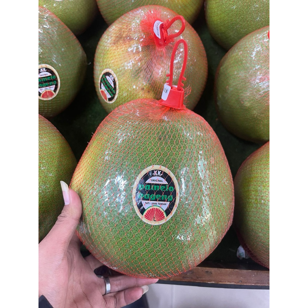

Jeruk Bali Jumbo Pamelo | Jeruk Pamelo Bageng | Pcs