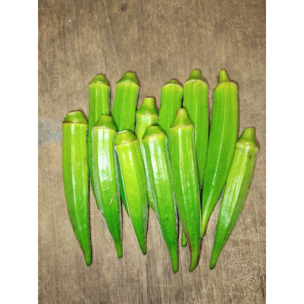 

OKRA HIJAU SEGAR FRESH GRADE A 1/2KG BARU PETIK