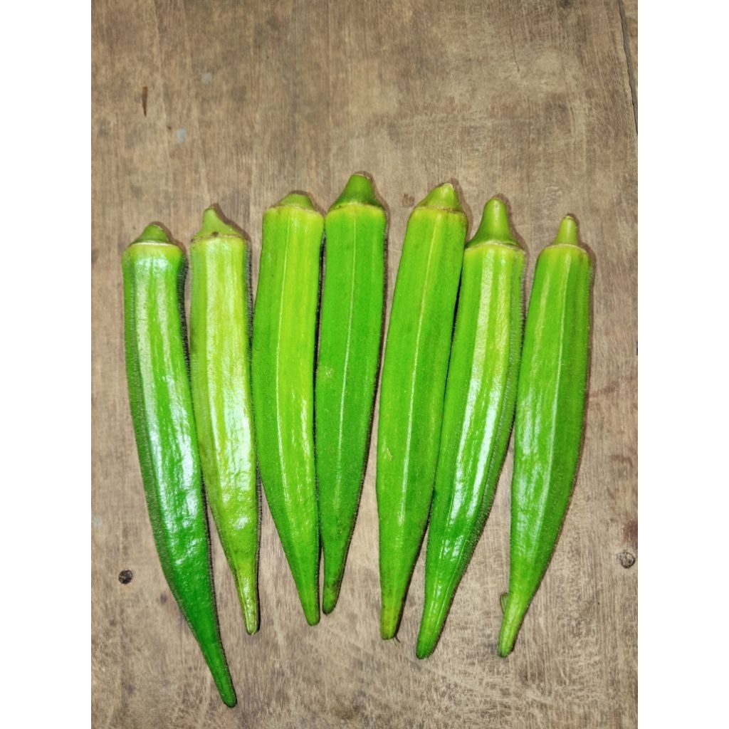 

OKRA HIJAU FRESH BARU PETIK GRADE B 500GR