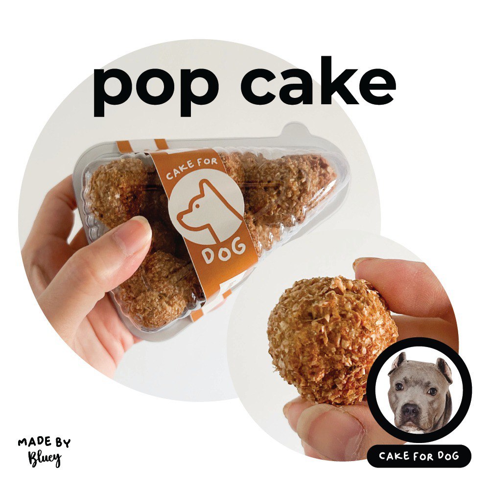 Pop Cake For Share | Kue Ulang Tahun Anjing Kucing | Birthday Cake For Dog Cat | Homemade Dog Food |