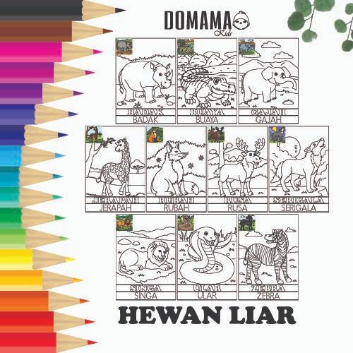 

Gambar Hewan Liar : Gambar Mewarnai untuk Anak TK dan PAUD