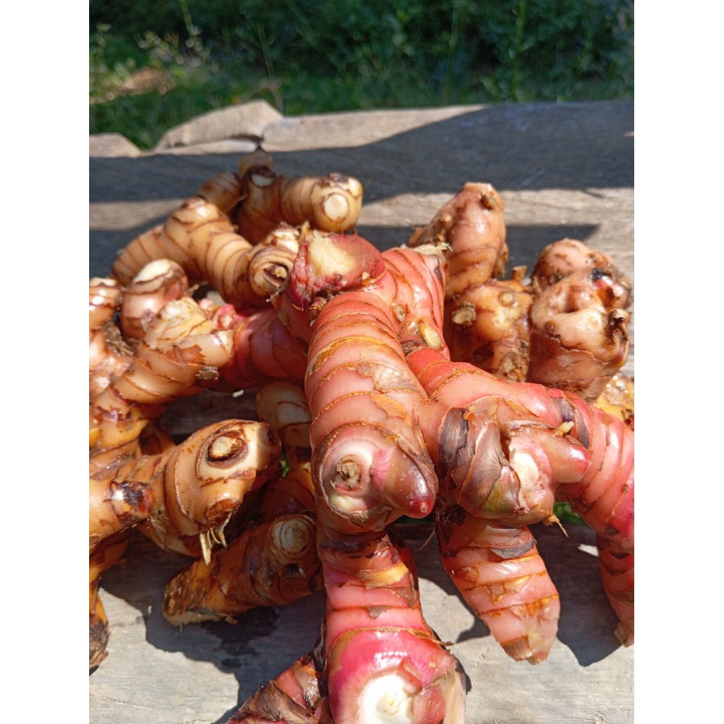 

Lengkuas merah laza merah segar 1kg